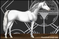 Horse Color:Silver Smoky Black Sabino 