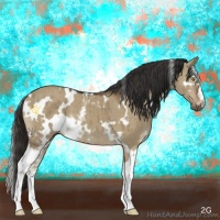 Horse Color:White Spotted Liver Red Dun Brindle 