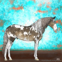 Horse Color:White Spotted Chocolate Palomino Mushroom Sabino