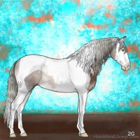 Horse Color:Liver Chestnut Mushroom Sabino Splash Tobiano 