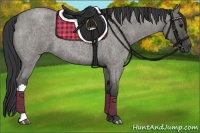 Horse Color:Grullo Roan