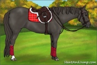 Horse Color:Smoky Black 