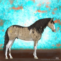 Horse Color:White Spotted Liver Red Dun 