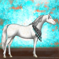 Horse Color:Cremello Near Leopard 
