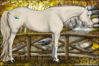 Horse Color:Smoky Creme 