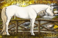 Horse Color:Buckskin Roan Pearl Dun  and Buckskin Roan Pearl Dun 