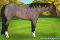 Horse Color:Gray Brown Roan 