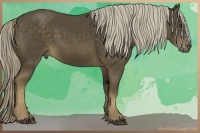 Horse Color:Chocolate Palomino 