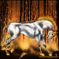 Horse Color:White Spotted Black Frame 