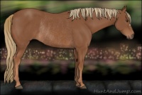 Horse Color:Chestnut Rabicano 