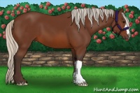 Horse Color:Silver Brown 