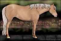 Horse Color:Silver Classic Champagne 