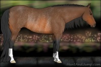 Horse Color:Bay Rabicano 