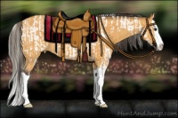 Horse Color:Buckskin Splash Tobiano Appaloosa  and Buckskin Splash 