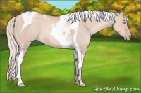 Horse Color:Silver Classic Champagne Dun Tobiano 