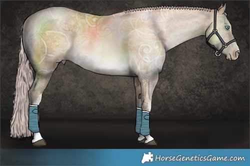 Horse Color:White Spotted Chocolate Palomino Ice Snowdrop 