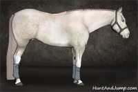 Horse Color:White Spotted Chocolate Palomino Ice Pearl 
