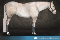 Horse Color:White Spotted Chocolate Palomino Ice Pearl 
