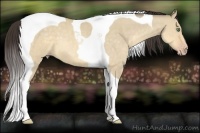 Horse Color:Sable Cream Champagne Dun Tobiano
