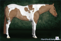 Horse Color:Gray Red Dun Tobiano Rabicano