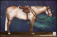 Horse Color:Silver Brown Dun Frame 