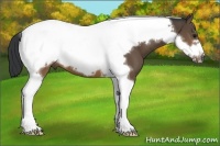 Horse Color:Brown Tobiano Frame 
