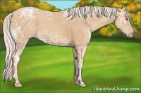 Horse Color:Silver Classic Champagne Ice
