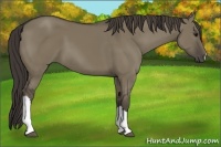 Horse Color:Smoky Grullo 