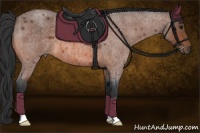 Horse Color:Bay Roan 