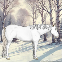 Horse Color:White Spotted Silver Buckskin Splash Tobiano 