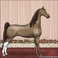 Horse Color:Liver Red Dun 