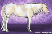 Horse Color:Silver Sable Cream Champagne Dun Tobiano Rabicano