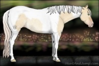 Horse Color:Silver Sable Champagne Dun Tobiano Rabicano