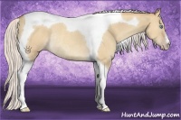 Horse Color:Silver Sable Cream Champagne Dun Tobiano Rabicano 