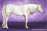 Horse Color:Silver Sable Cream Champagne Dun Tobiano Rabicano