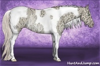 Horse Color:Silver Sable Champagne Ice Dun Tobiano Rabicano 
