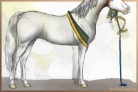 Horse Color:White Spotted Liver Red Onyx Splash 