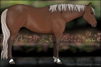 Horse Color:Silver Brown 