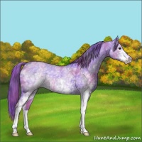 Horse Color:Nacre Watercolor White Spotted Brown Dun 