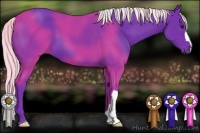 Horse Color:Watercolor Liver Chestnut Mushroom 