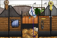 Horse Color:Liver Red Roan Splash 