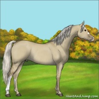 Horse Color:Silver Smoky Grullo Rabicano