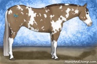 Horse Color:White Spotted Liver Red Dun Splash 