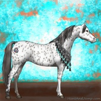Horse Color:Grullo Appaloosa 