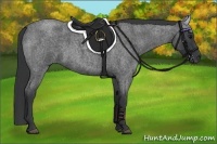 Horse Color:Blue Roan 