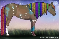 Horse Color:Painted White Spotted Liver Chestnut and Painted White Spotted Chestnut