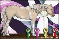 Horse Color:Silver Bay Dun Sabino Tobiano Frame Rabicano 