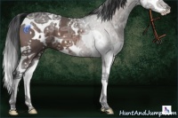 Horse Color:White Spotted Brown Ice Splash 