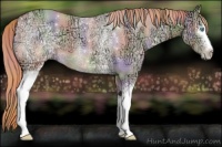 Horse Color:Nacre White Spotted Buckskin Ice Pearl Dun 