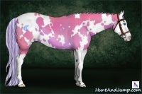Horse Color:Painted Watercolor White Spotted Chocolate Palomino Splash